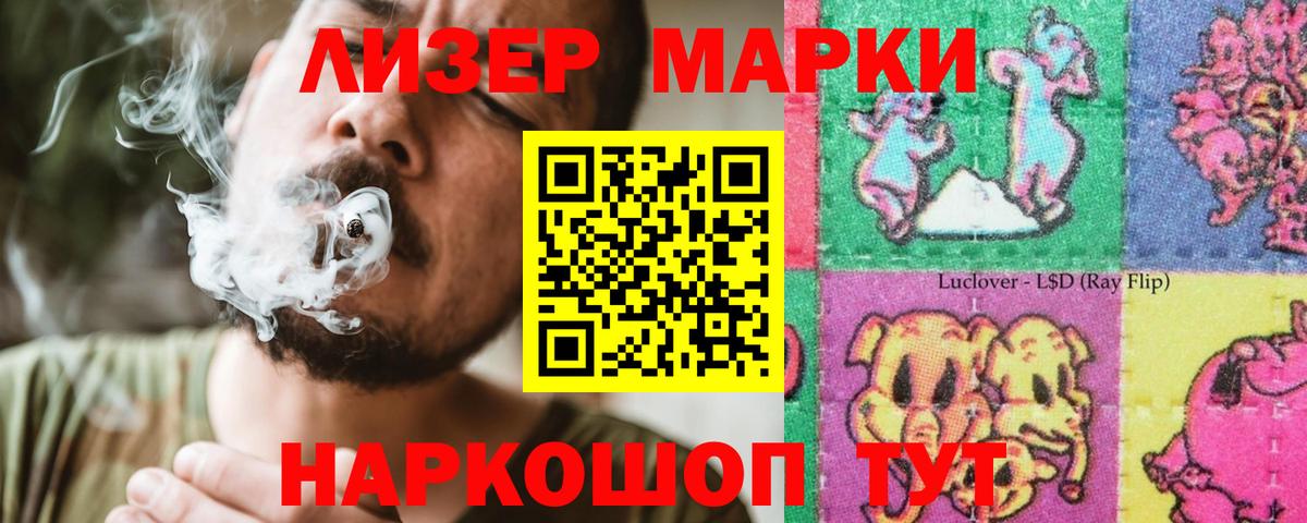 APVP Нижний Новгород