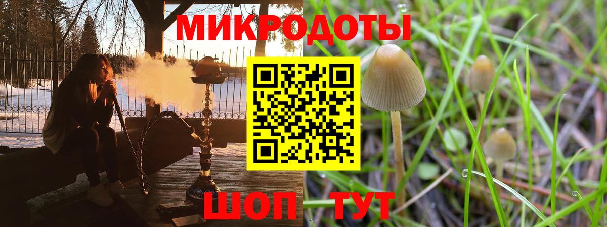 Нижний Новгород  Псилоцибиновые грибы Psilocybe  где купить наркоту  Вход с VPN  Галлюциногенные грибы мухоморы 